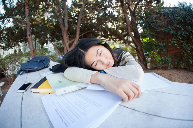 15 raisons pour lesquelles étudier à l'étranger en Chine est une expérience inoubliable pour les Millennials