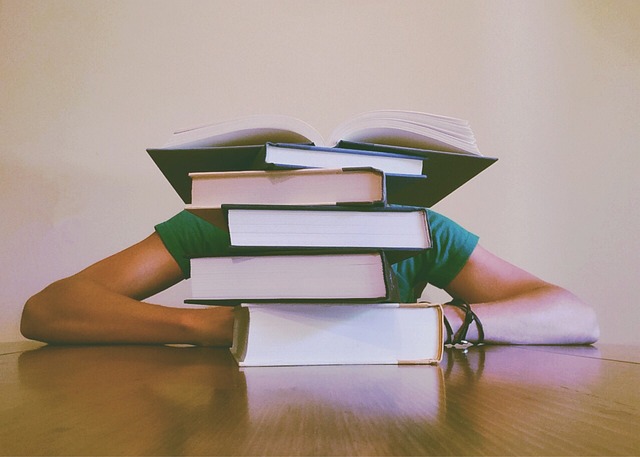 Les avantages professionnels de faire ses études à l'étranger en Europe et comment en profiter.