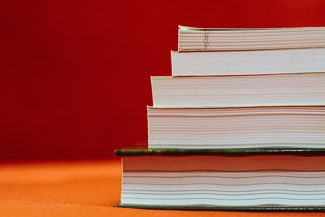 15 conseils pour bien organiser ses études à l'étranger et maximiser son expérience en tant que Gen Z.